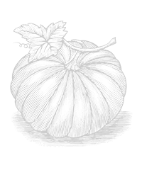Seasonal woodcut graphic